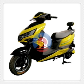 Y11